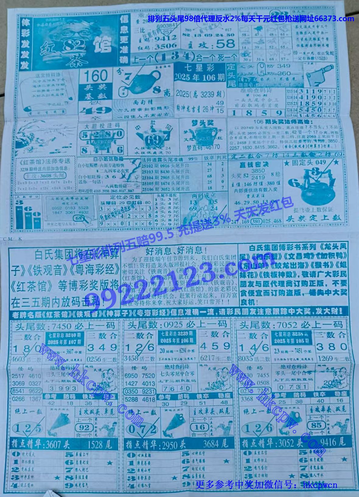 ���� (2).jpg