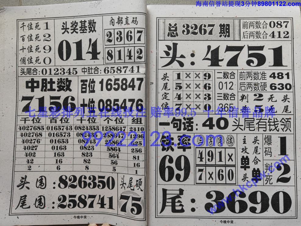 �����н� (15).jpg