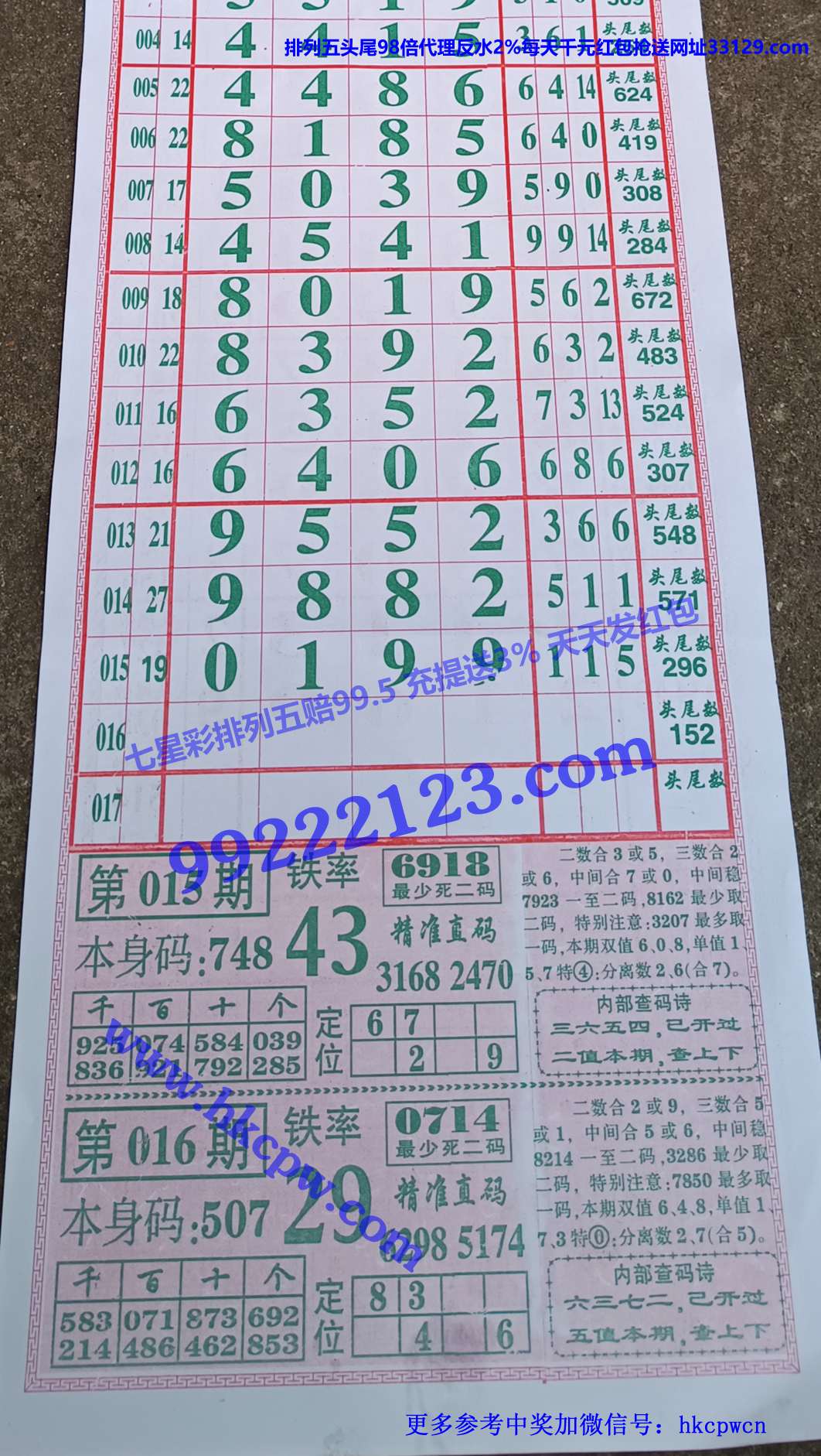 ���� (1).jpg